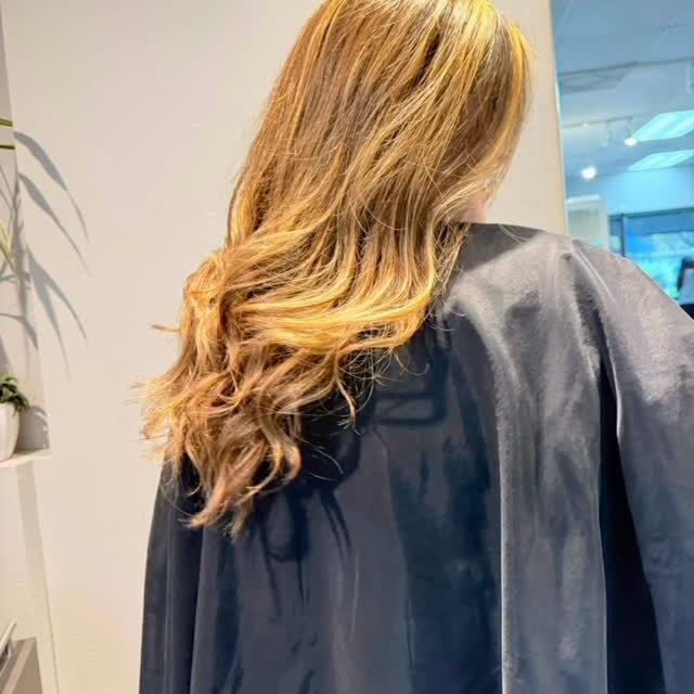 Sun-kissed golden waves, back view